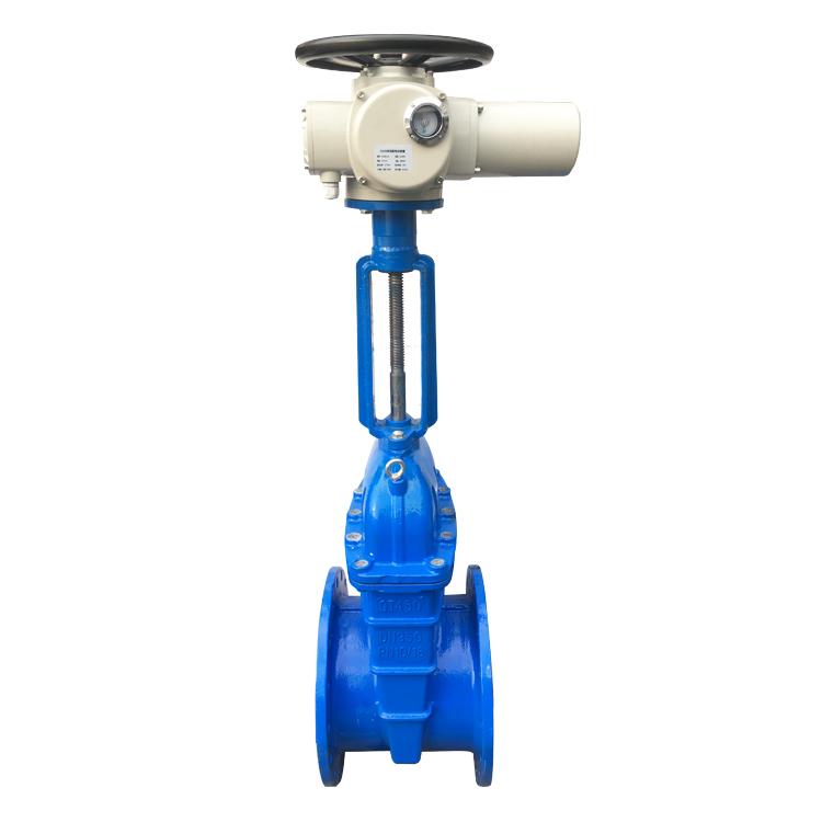 电动闸阀