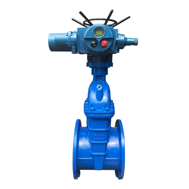 电动闸阀